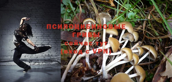 прущие крисы Алексеевка