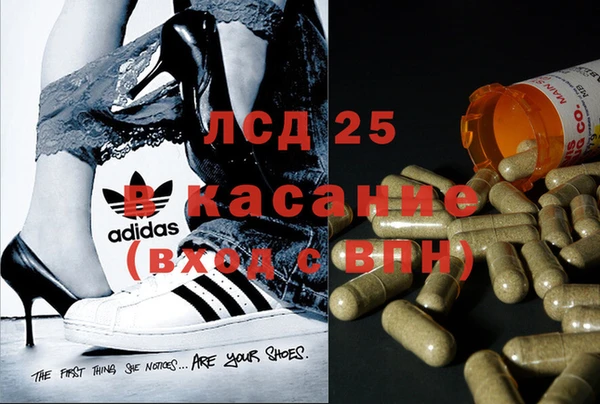 прущие крисы Алексеевка