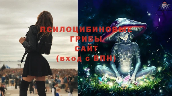 прущие крисы Алексеевка