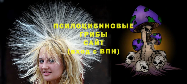 шишки Зеленокумск